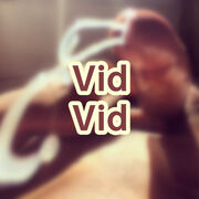 Vidvid