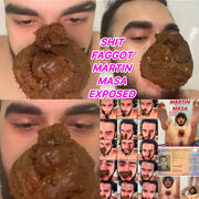 MartinMasaToiletPig