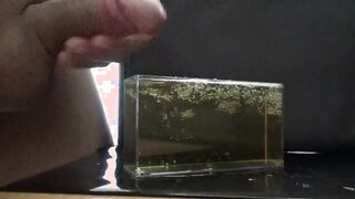 気持ちよくおしっこ遊びをしながら最後はその中に大量射精してしまう変態君。