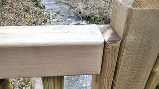 ????????El Tio Cachondo Salio De Excursion,Al Sacar Su Bonita Polla Una Garrapata Cayo En Su Verga????