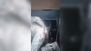 Object857 is swaying his tail