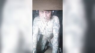 Object857 is swaying his tail