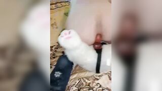 Парень би на дилдо two