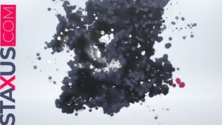 STAXUS : INSANE LADS SC.1