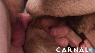 FunSizeBoys - Dex Devall submits to Dr. Cub during his corporal examination