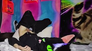 Alleycat fondles off