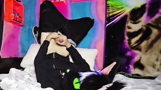 Alleycat fondles off