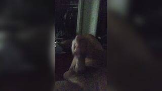 Super-naughty Papi Fapping and Smashing His Palm With His Stiff Man meat