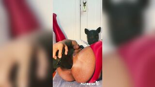 piggy onahole getting off scene update began