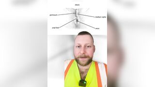 How to Pick the Right Fucktoys for Assfuck Teaching