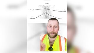 How to Pick the Right Fucktoys for Assfuck Teaching