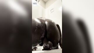 Pound my Dark-hued Arse in the Bathroom