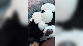 Fur covered Puppy Voz makes a dirt out of SJ