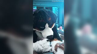 Fur covered Puppy Voz makes a dirt out of SJ