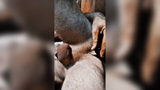 Solo hasty demonstrate