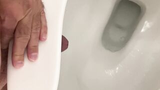 Smashing a Restroom Seat