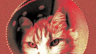 MI Gato Tiene Sida demo - Excursion De Despedida