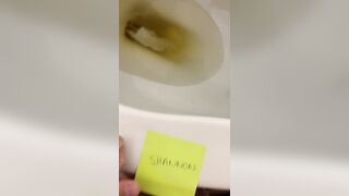 Restroom Seat Pummel and Destroyed Orgams