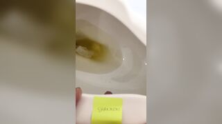 Restroom Seat Pummel and Destroyed Orgams