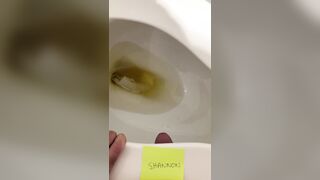 Restroom Seat Pummel and Destroyed Orgams