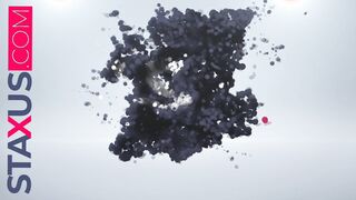 STAXUS :: NEW PLOWERS