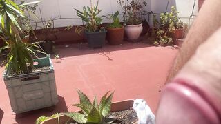 Placer blanco que se desintegra en el sol