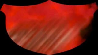 Ronan Kennedy And Younger Fernandez