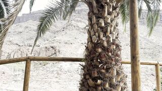 knuckle days on Gran Canaria