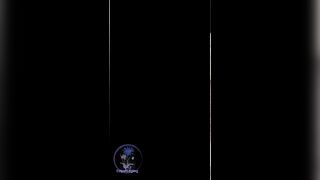 PMV - Smake Tummy Tummy Abdomen Shorties L