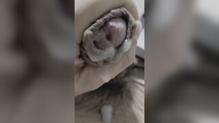 Close up jizz-shot webcam 20251124