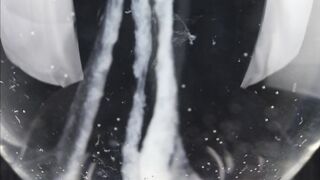 The Form of Water, Popshot flowing thru its innate environment