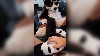 Voz gets a PawJob in the Camper from his Insane Unshaved Step Step-brother