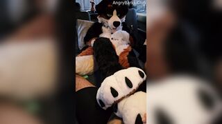 Voz gets a PawJob in the Camper from his Insane Unshaved Step Step-brother