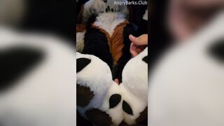 Voz gets a PawJob in the Camper from his Insane Unshaved Step Step-brother