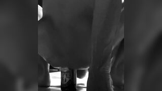 Free-for-all November 2025 samples