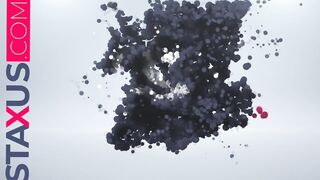 STAXUS:: YOUNGSTERS AVENTURE