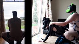 Greener Grass - Femboy Pounded Rock hard Against Window By Pup