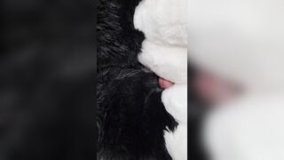 Unshaved Step-Brother taunts edges and shoveled Voz over the verge