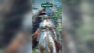 Gooner Goo: NightReign