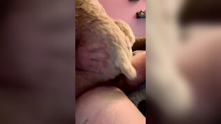 meeting with a mutt damsel