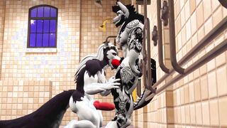 Otters In The Douche!  VR 