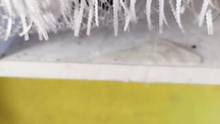 A BIG SPLATTER OF PEE FOR YOU TO SWALLOW.