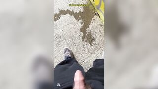 Public Teenage Palm Free-for-all Urinating on Wall