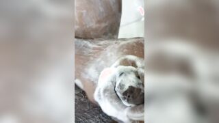 My gf likes witnessing douche flicks , part 02