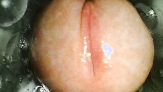 ASMR FLESLIGHT CLOSE UP PULVERIZE WITH WITNESS PORNOGRAPHY AND SLOW-MOVABILITY POPSHOT