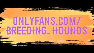 Wooly assfuck pound, blow and spunk compilation - elder files