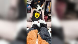 Superb Dudes first-ever ever pawjob. BIG MUD!