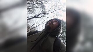 Cruising in the snowy forest