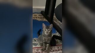 I got caught doing it again :