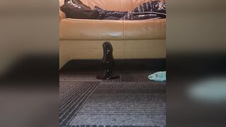 Solo Youngster Stinger Phat Faux-cock